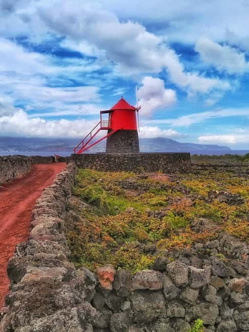 1-day jeep tour on Pico Island - Azores - Cachorro and the vineyard towns: why this stop feels different