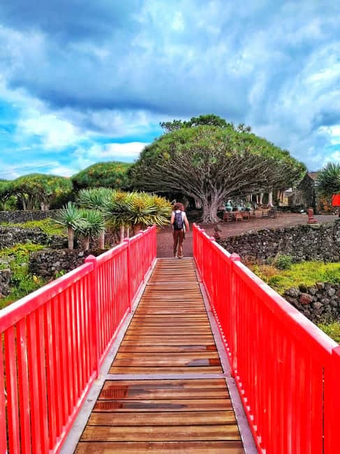 1-day jeep tour on Pico Island - Azores - Price and value: what $141 buys on Pico for an 8-hour day
