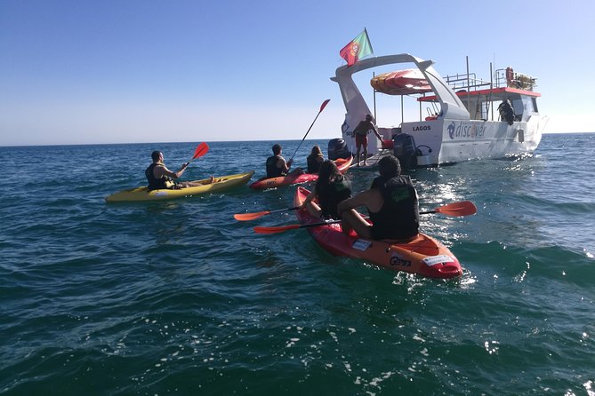 2-hour Kayak Tour of Ponta da Piedade Caves and Beaches - The cruise past golden beaches: Meia Praia to Camilo with real photo stops