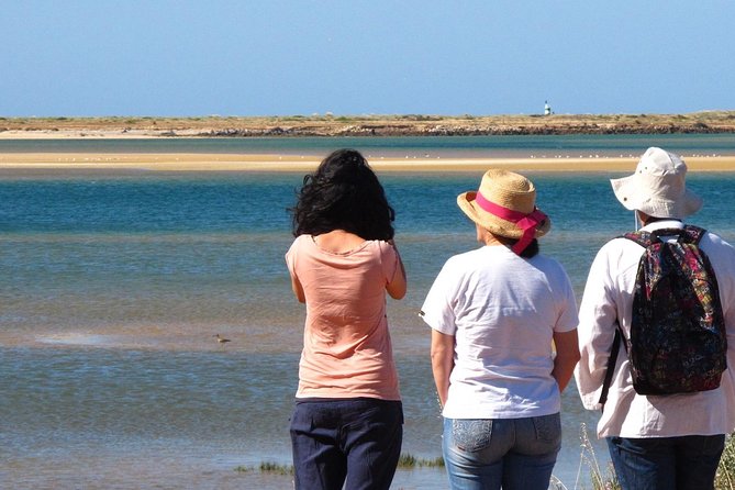 2 Stop | 2 Islands & Ria Formosa Natural Park - From Faro - Wildlife spotting on the move: birds, shellfish, and tide timing