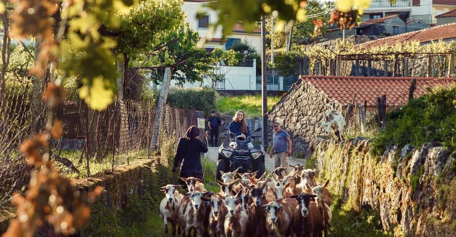 2h Quad Tour • Arcos de Valdevez • Peneda Gerês - Key Highlights That Matter