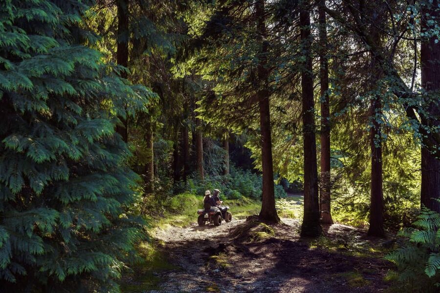 2h Quad Tour • Arcos de Valdevez • Peneda Gerês - Wildlife Odds: How to Increase Your Chances Without Doing Anything Weird