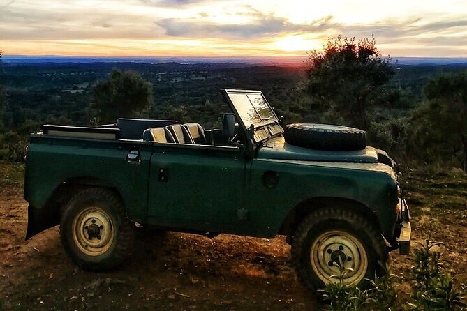 2hr Cork Safari in a Classical Land Rover - Key Points to Know Before You Go