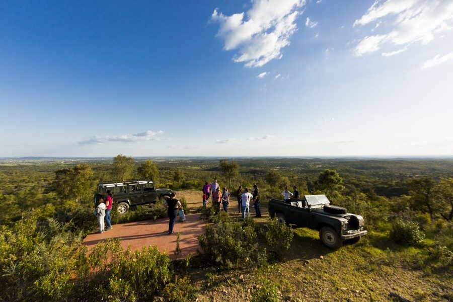 2hr Cork Safari in a Classical Land Rover - Cork Strippers Lunch: A Quiet, Family-Run Meal