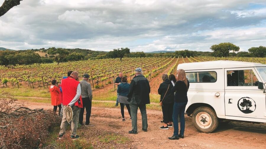 2hr Cork Safari in a Classical Land Rover - Who This Tour Suits Best (and Who Should Rethink It)