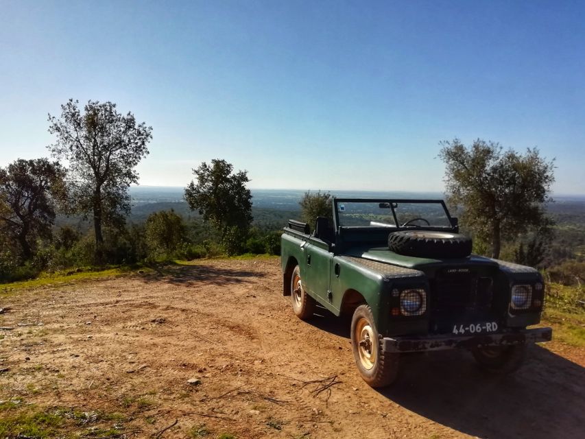 2hr Cork Safari in a Classical Land Rover - Practical Tips for Making the Most of Your Safari Day