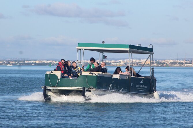 4 Stops | 3 Islands & Ria Formosa Natural Park - From Faro - Oyster Culture Observation: What You Learn in 15 Minutes