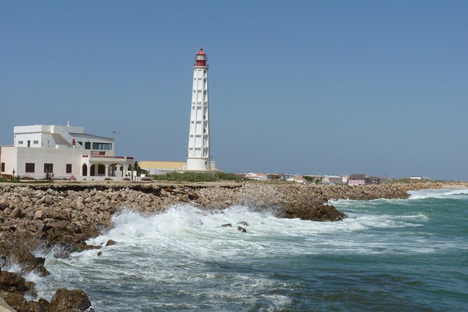 4 Stops | 3 Islands & Ria Formosa Natural Park - From Faro - Wildlife You Can Expect, Plus How to Spot It Better