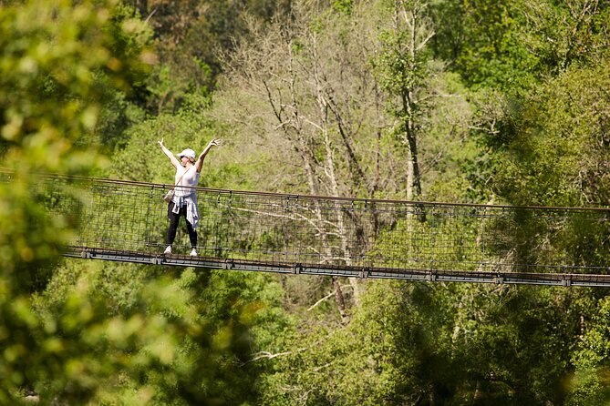 516 Arouca Bridge & Paiva Walkways Tour with Lunch from Porto - Stop 4: Alvarenga lunch with vinho verde and local meat