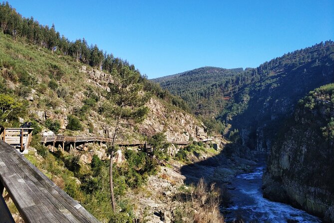 516 Arouca Bridge & Paiva Walkways Tour with Lunch from Porto - The guide makes the day feel smooth, not chaotic