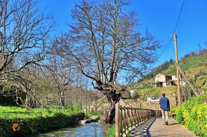 A tour between Cascades and Schist Villages, Piodão - Price and What $156.19 Buys You in Real Value