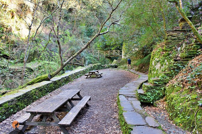 A tour between Cascades and Schist Villages, Piodão - Stop 2: Coja at Praia Fluvial do Caneiro de Coja