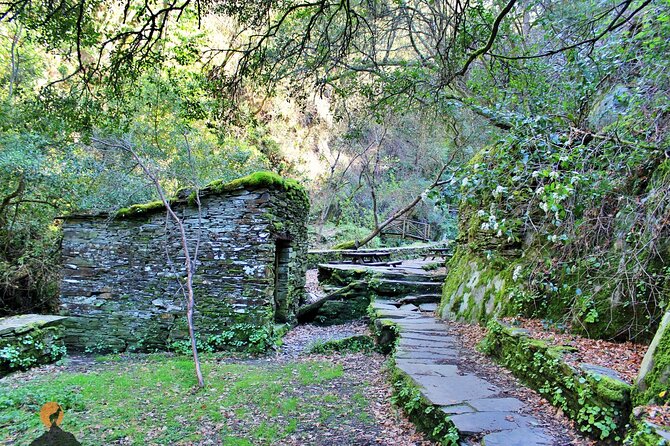 A tour between Cascades and Schist Villages, Piodão - Stop 4: Cascata da Fraga da Pena in a Natural Area