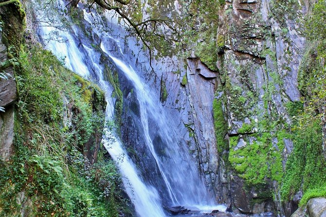A tour between Cascades and Schist Villages, Piodão - Stop 5: Mata da Margaraca Native Forest Woods