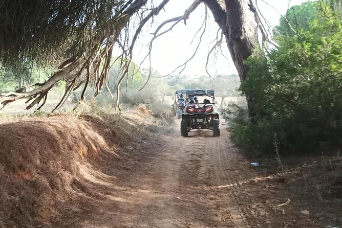 Albufeira 1.5 hour Off-Road Tour Buggy Adventure Tour - Guides, Pace, and Group Feel: Why It Feels Better Than Big Tours