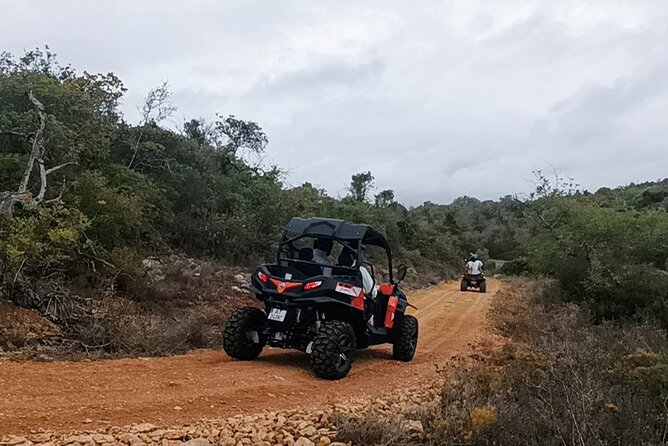 Albufeira 1.5 hour Off-Road Tour Buggy Adventure Tour - Practical Tips for a Smooth, Fun Ride