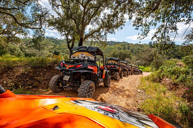 Albufeira: 1.5h Off-Road Buggy Tour - Dirt & Scenic Trails - Who gets to drive, and the deposit math