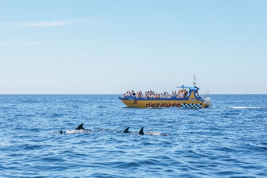 Albufeira: 2.5-Hour Benagil Caves & Dolphin Watching - Albandeira and Marinha: the rocky stretches that explain the area