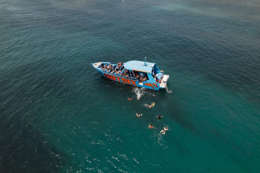 Albufeira: 2.5-Hour Dolphin Watching and Caves Trip - What The Crew Does Well, And Why It Changes The Day