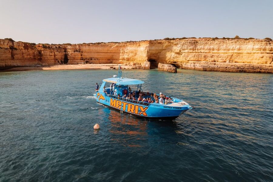 Albufeira: 2.5-Hour Dolphin Watching and Caves Trip - Price And Value: Is $41 Worth A Cave-And-Dolphin Half Day?