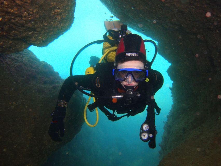 Albufeira: 2 DIVES TRIP (ONLY CERTIFIED DIVERS) - Marine Life Checklist for the Algarve Coast
