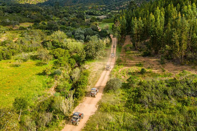Albufeira: 3-Hour Off-Road Buggy Tour to Hidden Algarve Trails - Weather, timing, and how to pick your day