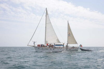 6-Hour Boat Tour with BBQ and Drinks