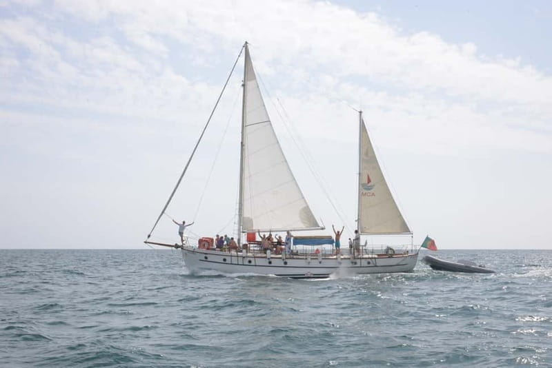 Albufeira: 6-Hour Boat Tour with BBQ and Drinks - Marina de Albufeira to the Benagil area: what the sailing part is like