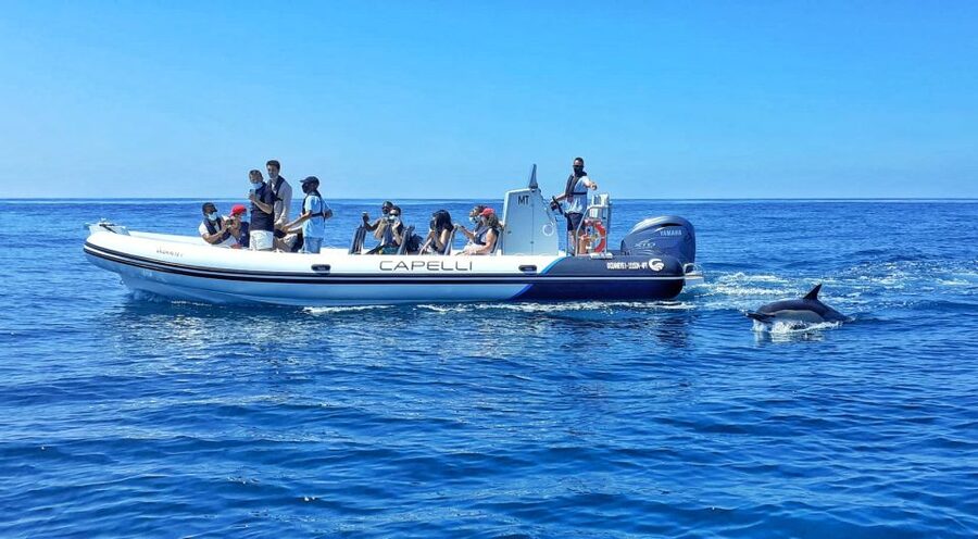 Albufeira: Benagil Cave and Dolphin Sightseeing Boat Cruise - Safety briefing and life jackets, then off you go