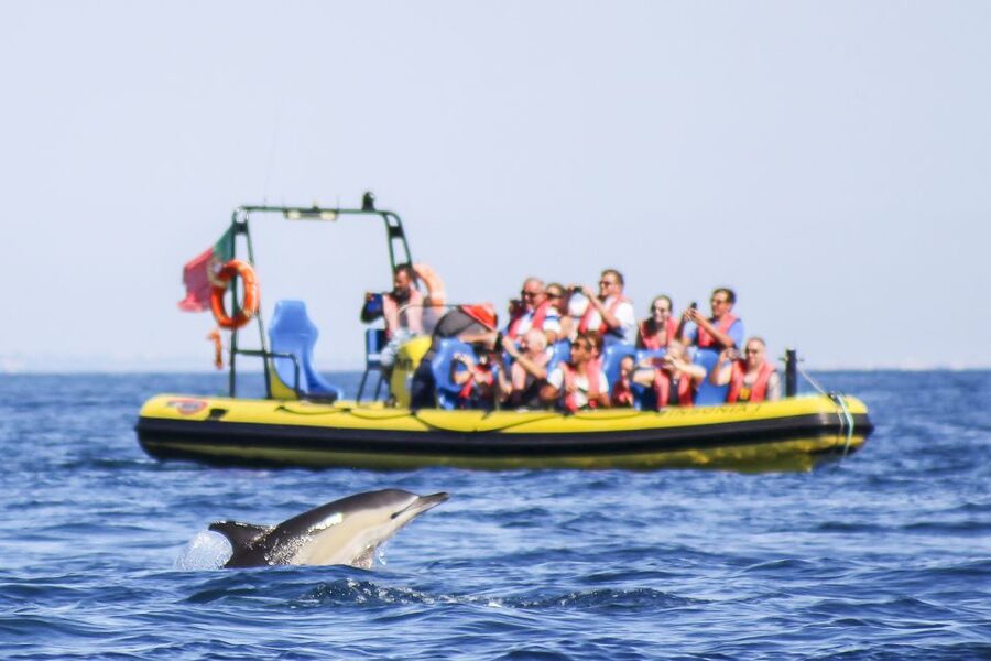 Albufeira: Benagil Caves & Dolphin Watching Speed Boat Tour - Dolphin Watching: The Part You Cannot Schedule