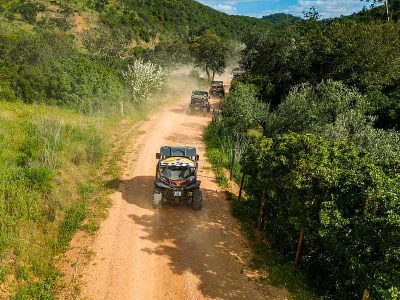 Albufeira: Buggy Adventure through the Algarve Hidden Gems - Quinta do goji Break: The Countryside Flavor Moment