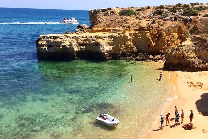 Albufeira: City Highlights & WINE TASTING - Albufeira Marina and fishing-port viewpoints, where the stories come alive