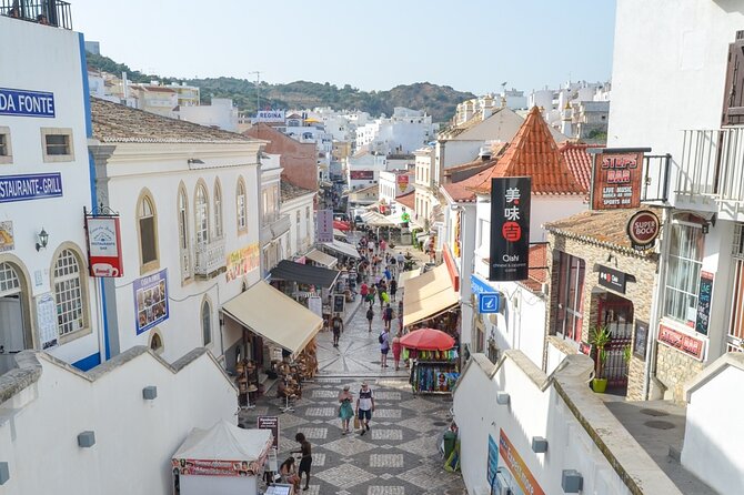 Albufeira: City Highlights & WINE TASTING - Viewpoint photo stops over beaches, Marina, and harbor shelter