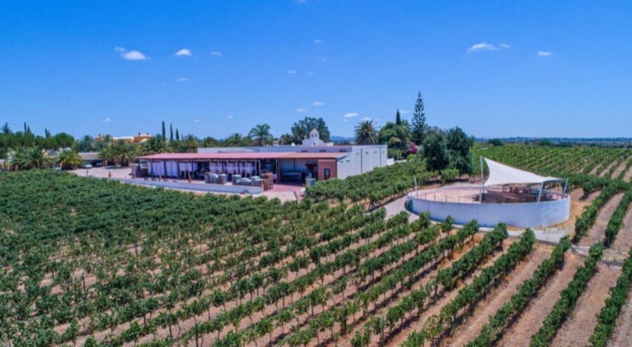 Albufeira Coast Tour, Winery & Delicious Chicken lunch - Price and Value: Why This One Works Around $81