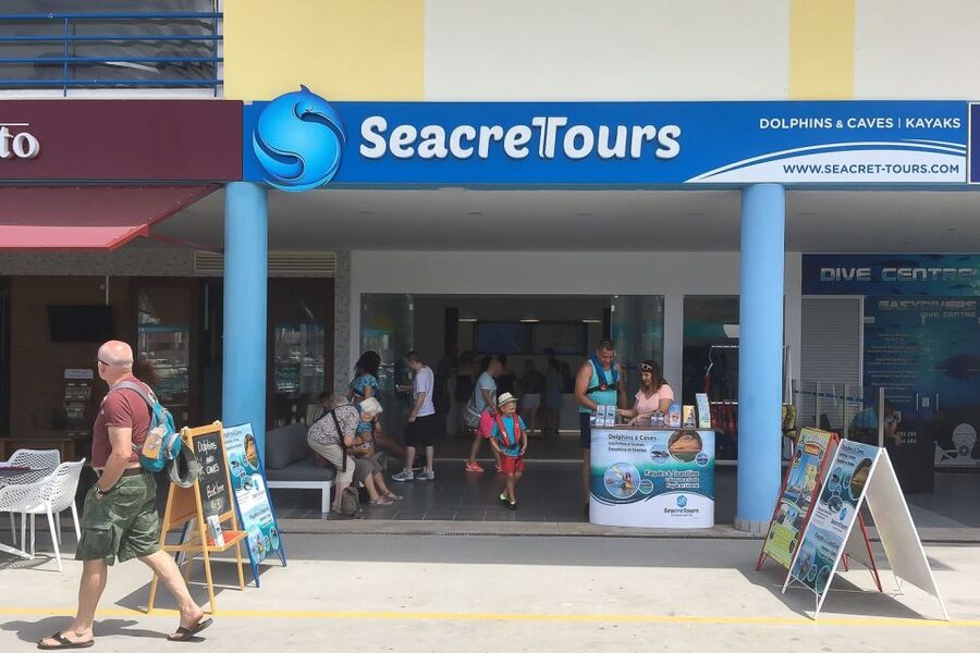 Albufeira: Dolphin Watching and Benagil Cave Boat Cruise - How the dolphin search works (and how to enjoy it when they stay hidden)