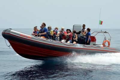 Dolphin Watching and Benagil Cave Boat Cruise