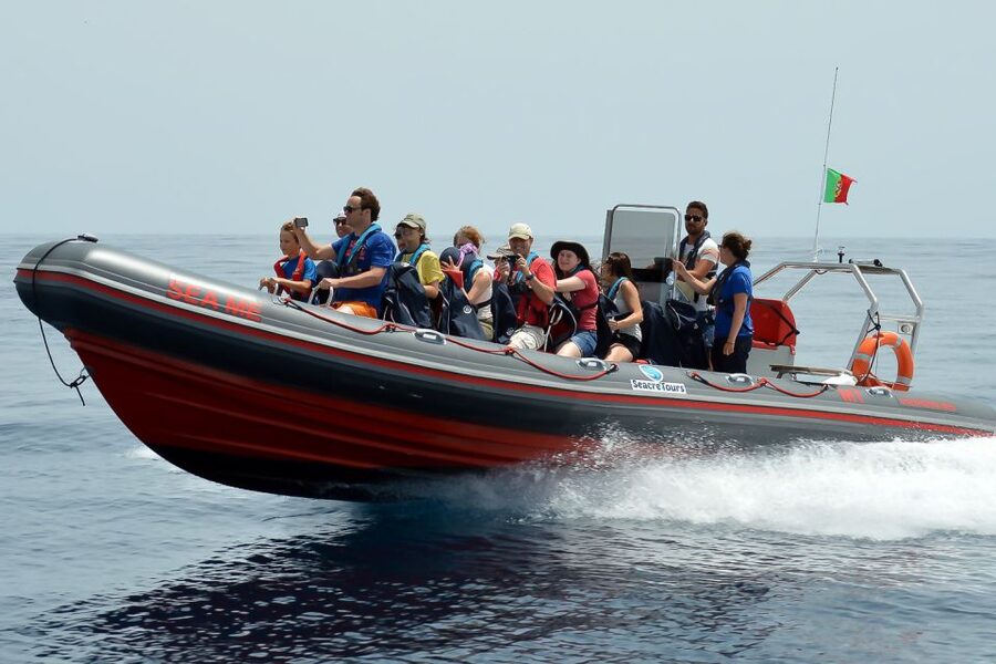 Albufeira: Dolphin Watching and Benagil Cave Boat Cruise - From Albufeira Marina out along 18 km of coastline