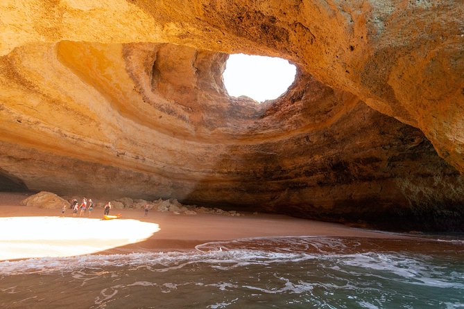 Albufeira: Dolphins and Caves Private Tour - Dolphin time with marine biologist commentary (and how to actually spot them)