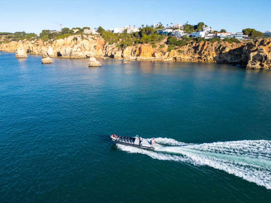 Albufeira: Dolphins & Benagil Caves RIB Tour - Dolphins in the wild: what the marine biologist really adds