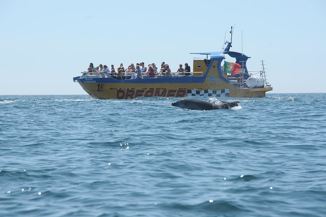 Albufeira Dreamer Boat Trip - Swim time on open water: plan for it, but don’t bet the day on it
