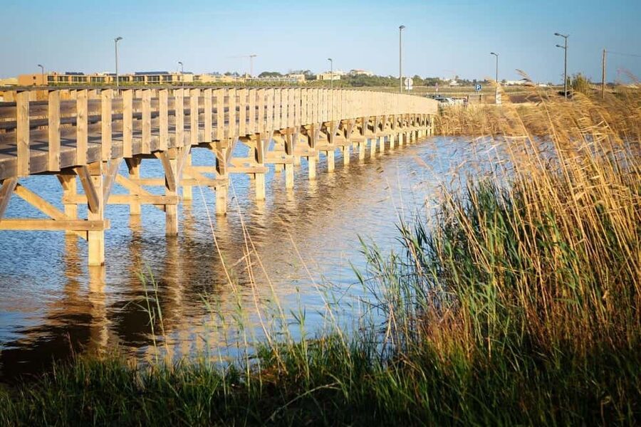 Albufeira: E-Bike tour of Nature Trails and Tradition - Key things to know before you pedal
