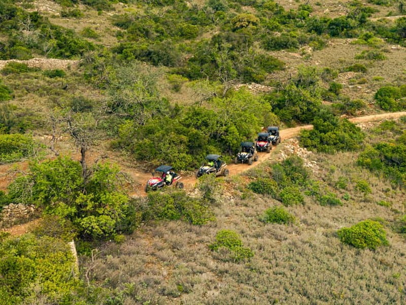 Albufeira: Full-Day Buggy Tour with Lunch - Quinta do Freixo lunch: organic farm setting and jam tasting you can actually buy