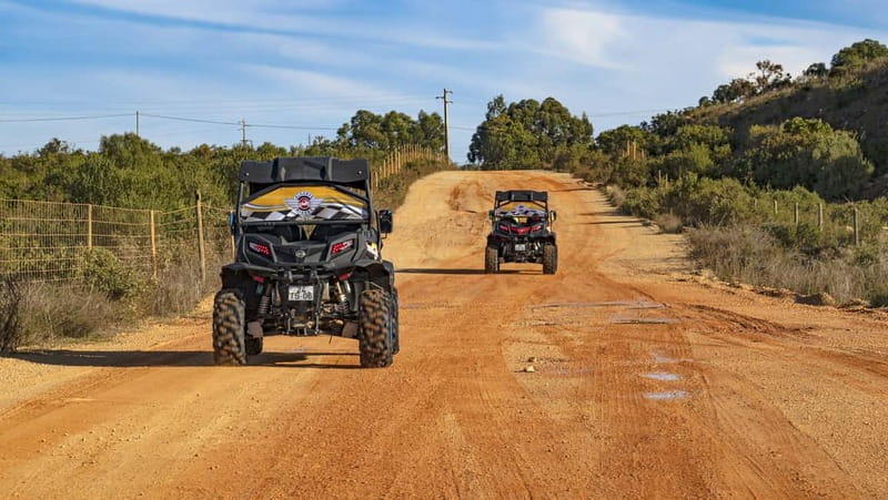 Albufeira: Full-Day Buggy Tour with Lunch - Guides who keep the day fun: Francisco, Paulo, and Ben