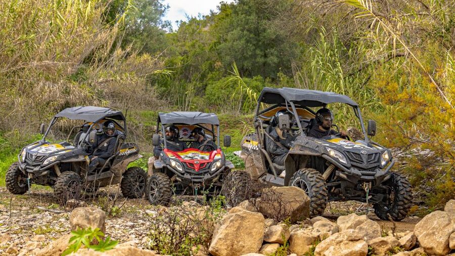 Albufeira: Full-Day Buggy Tour with Lunch - Who should book, and who should skip a buggy tour like this