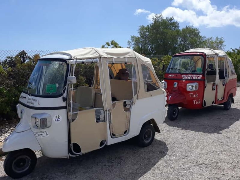 Albufeira: Guided Tour by Tuk-Tuk - Marina and Fishing Dock, Where the Sea Still Matters
