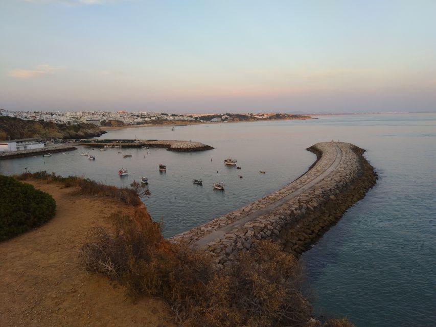 Albufeira: Guided Tour by Tuk-Tuk - Price and What You’re Actually Paying For