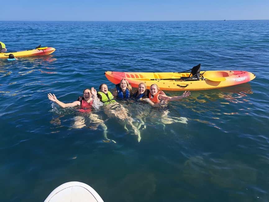 Albufeira: Hidden Beaches & Cliffs Guided Kayak Cave Tour - Salamitras swim stop: why this beach is worth the effort
