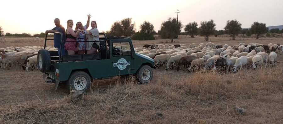 Albufeira: Jeep Safari Half-Day Countryside Tour - Paderne Castle: Old Stones, Easy Time to Look Around (30 Minutes)