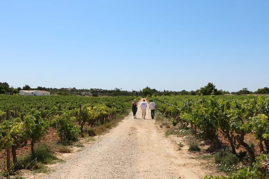 Albufeira/Porches/Vilamoura: Wine Tasting with Tapas & Music - Your Time Plan, Stop by Stop