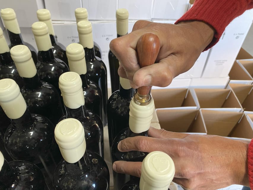Albufeira/Porches/Vilamoura: Wine Tasting with Tapas & Music - Logistics You Should Plan For (So It Doesn’t Trip You Up)